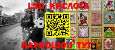 стафф Новозыбков