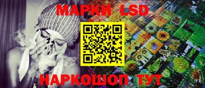 стафф Новозыбков