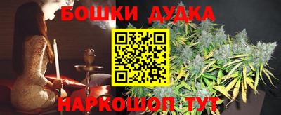 стафф Новозыбков
