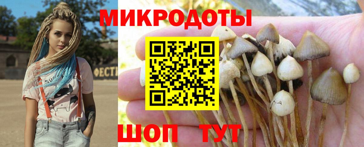Псилоцибиновые грибы Magic Shrooms  Вход с VPN  Троицк 
